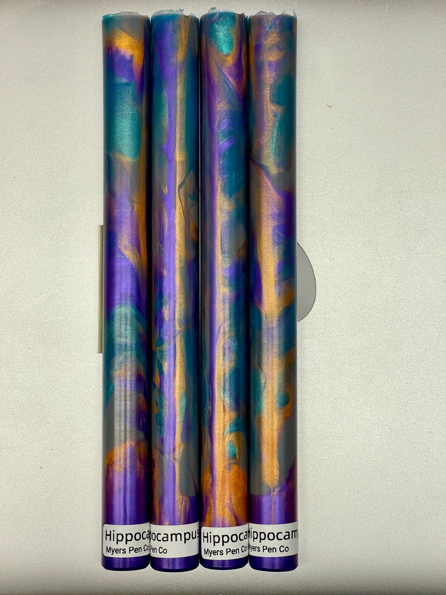 Hippocampus Blank