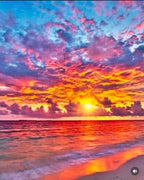 Tristan’s Sunset Blank