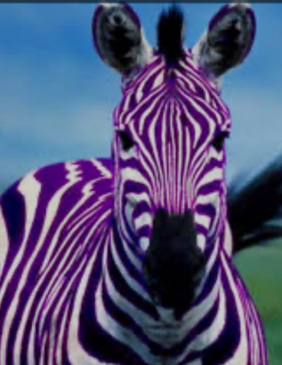 Z - Purple Zebra Pen