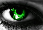 GEM (Green Eyed Monster) Blank