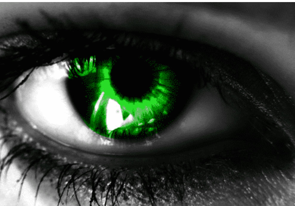 GEM (Green Eyed Monster) Blank